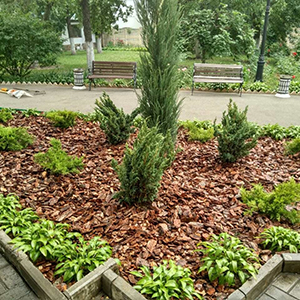 Хвойная мульча в Сергиевом Посаде купить - оперативная доставка по всей России